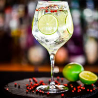 Gin and Tonic